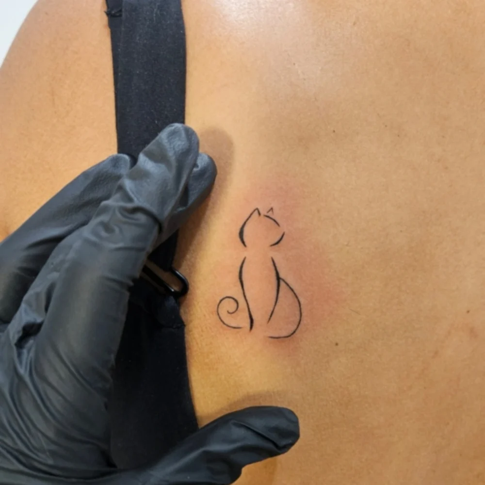 IMG_20241127_172456_993